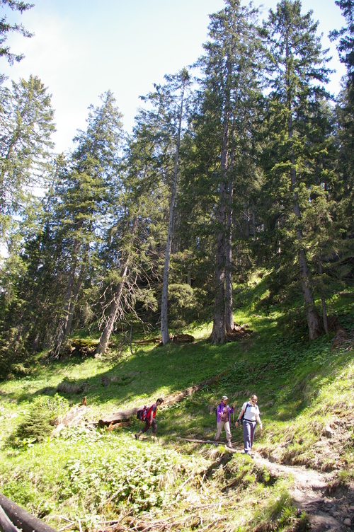 b0175255_18513654.jpg