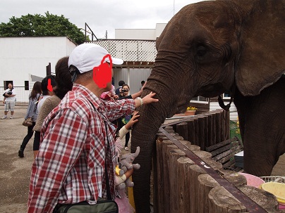 象と遊べる動物園。_d0159155_22205542.jpg