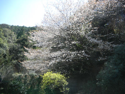 d0237757_0381935.jpg