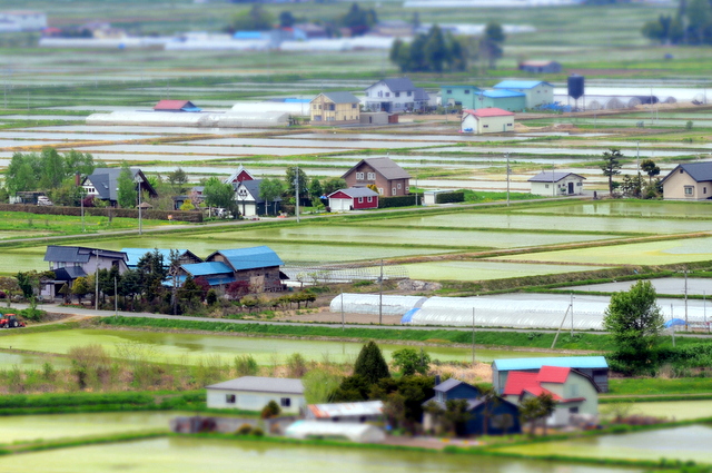 b0165760_12554251.jpg