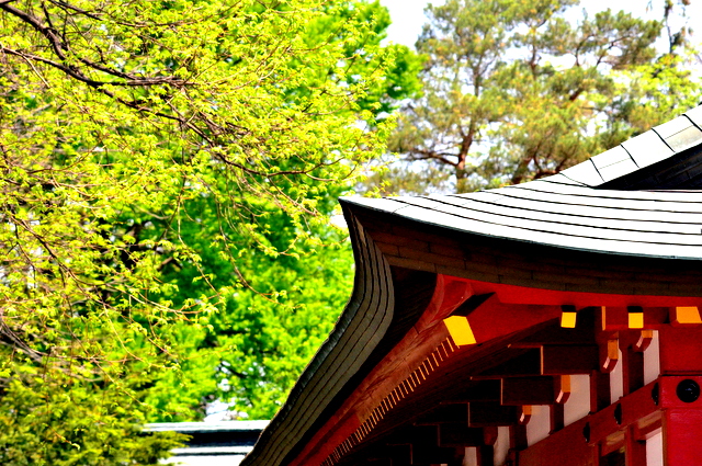 b0165760_12585959.jpg