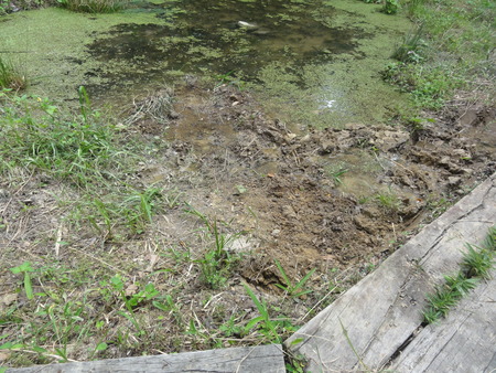 c0108460_2217323.jpg