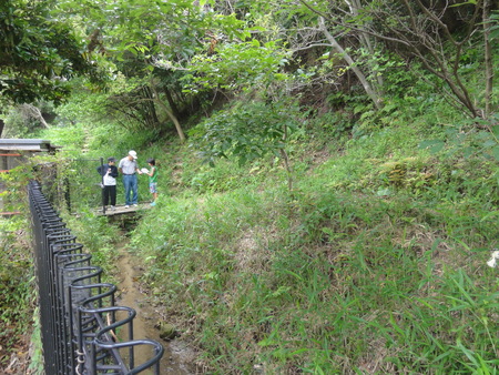 c0108460_2218256.jpg