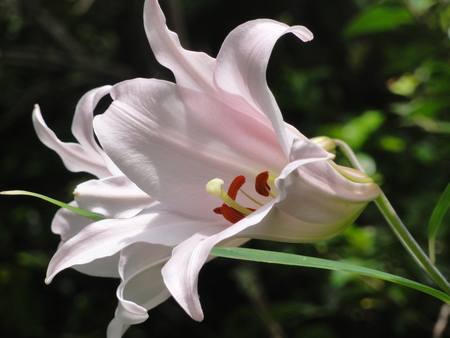 c0108460_2371320.jpg