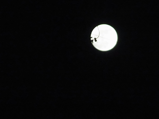 c0171862_018245.jpg
