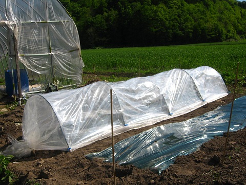 c0229165_8202645.jpg