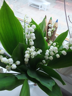 f0201565_13161697.jpg