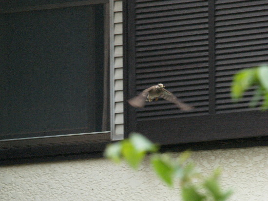 f0208666_11501244.jpg