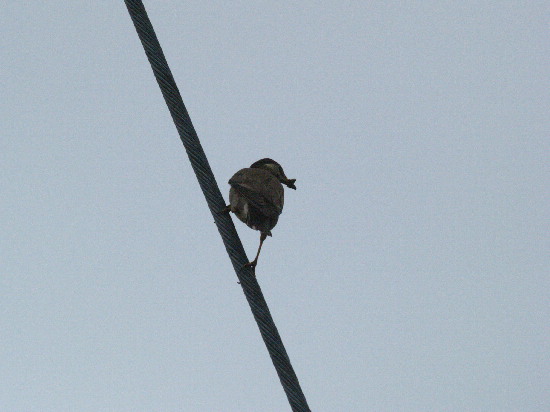 f0208666_1155145.jpg