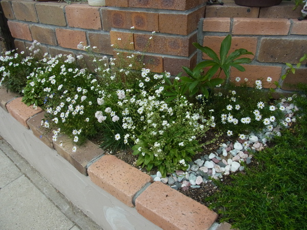 b0194267_20301410.jpg