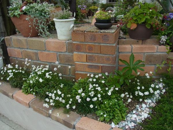 b0194267_20351893.jpg