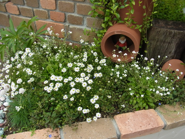 b0194267_2081166.jpg