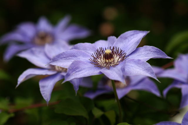 b0223668_7253734.jpg
