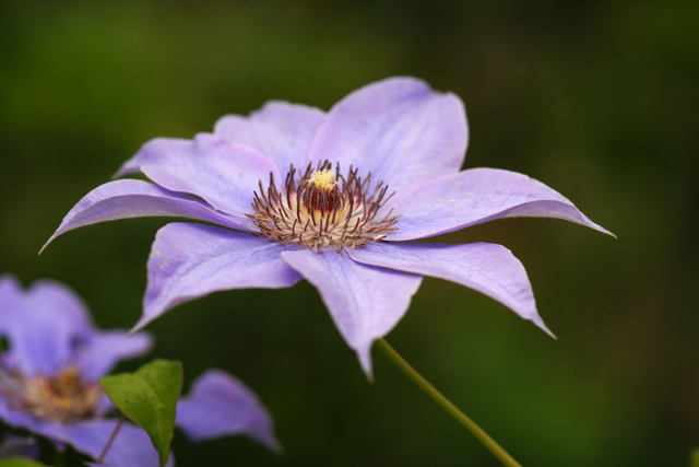 b0223668_726936.jpg
