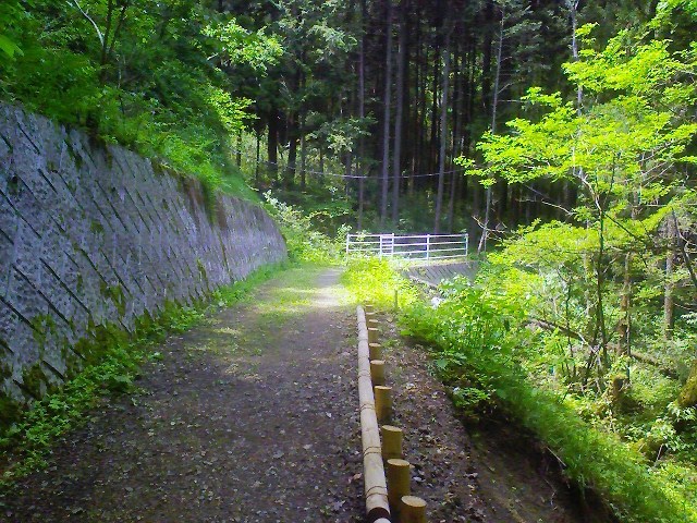 d0233770_17444281.jpg