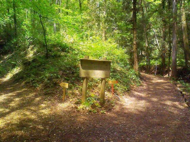 d0233770_17475242.jpg