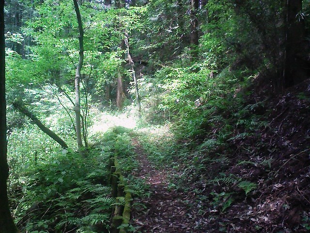 d0233770_17481170.jpg