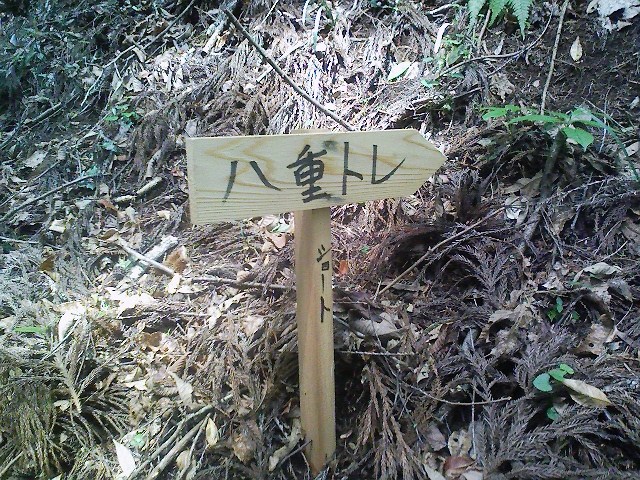 d0233770_17483551.jpg