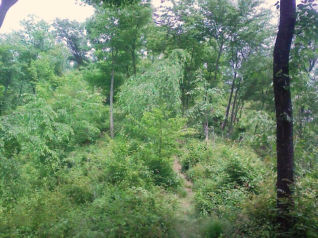 d0233770_17502221.jpg