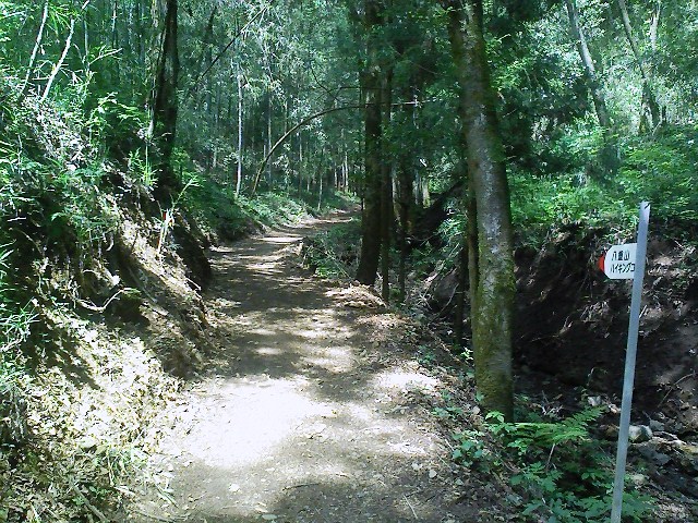 d0233770_1811762.jpg