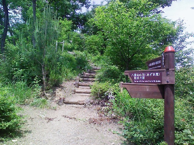 d0233770_1816447.jpg