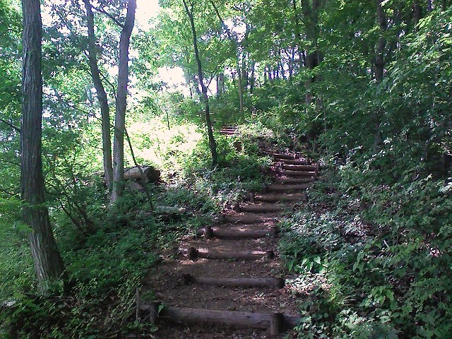 d0233770_18253688.jpg