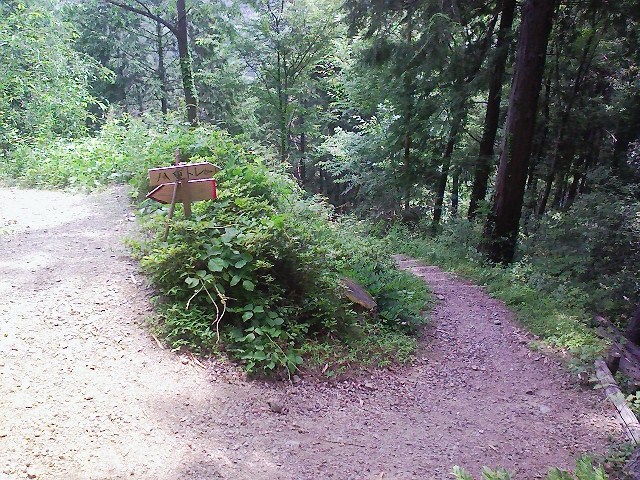 d0233770_183566.jpg