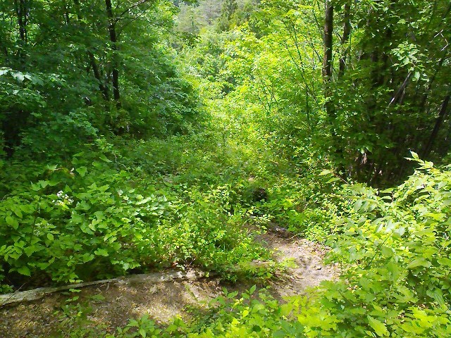 d0233770_18391828.jpg