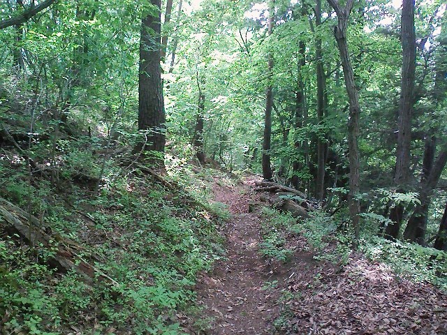 d0233770_18424134.jpg