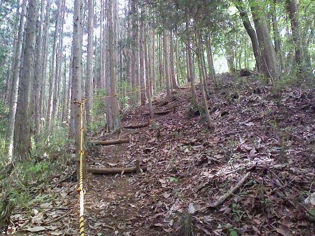 d0233770_18442697.jpg