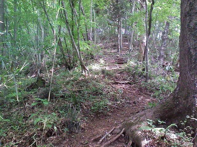 d0233770_1859415.jpg