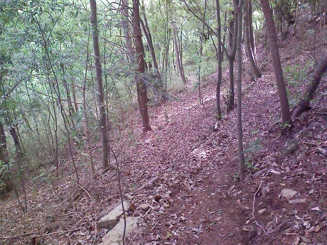 d0233770_194443.jpg