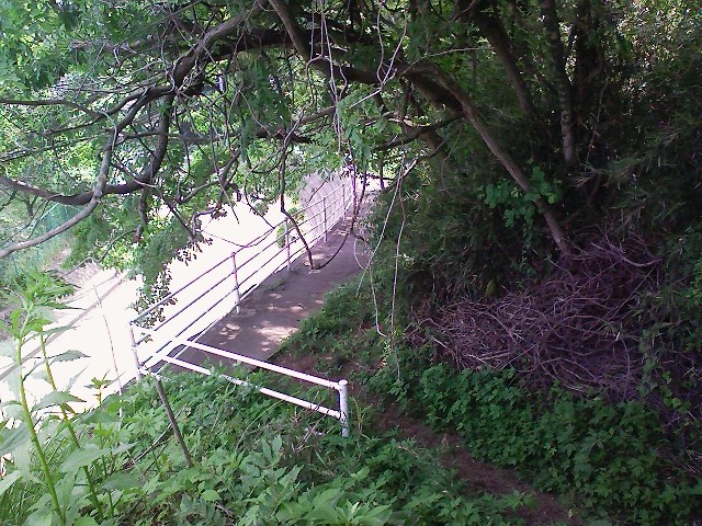 d0233770_1954839.jpg