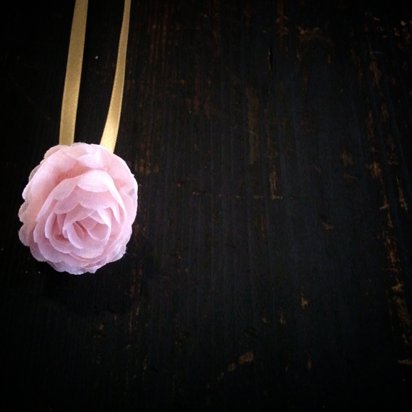 a0199571_21385545.png