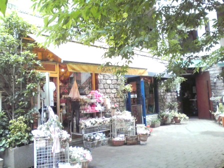 b0134673_11171789.jpg