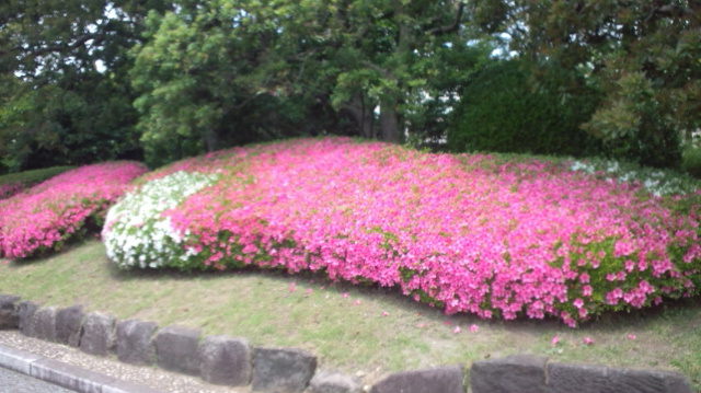 素敵な一日_e0040673_20495531.jpg