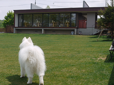 c0209379_14383628.jpg