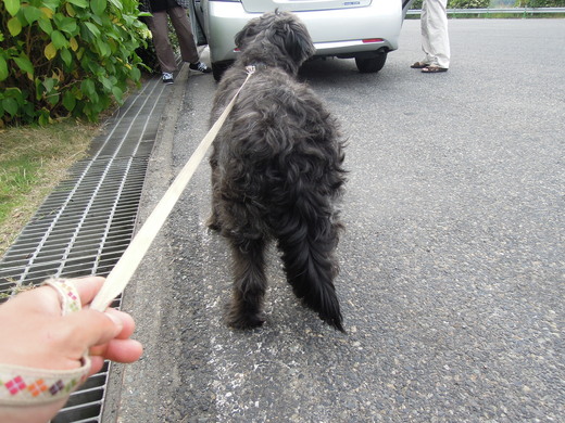 窯犬を迎えに福岡へ。_d0195183_0384817.jpg