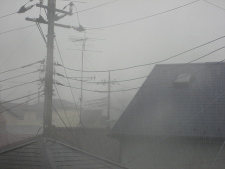 b0204887_11544654.jpg