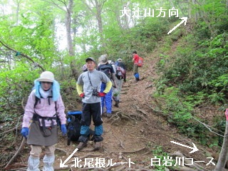 大辻山（1361m）　立山町　白岩川コース_a0104890_22204497.jpg