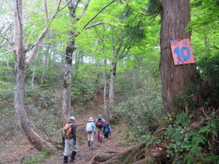 大辻山（1361m）　立山町　白岩川コース_a0104890_22354254.jpg