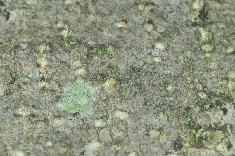 b0123591_17555217.jpg