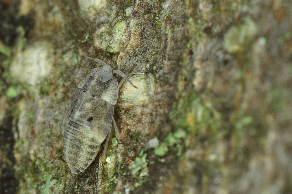 b0123591_17565550.jpg