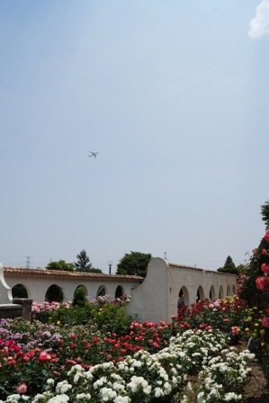 d0181492_21553597.jpg