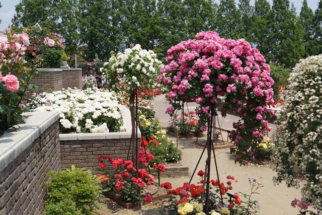 d0181492_2159351.jpg