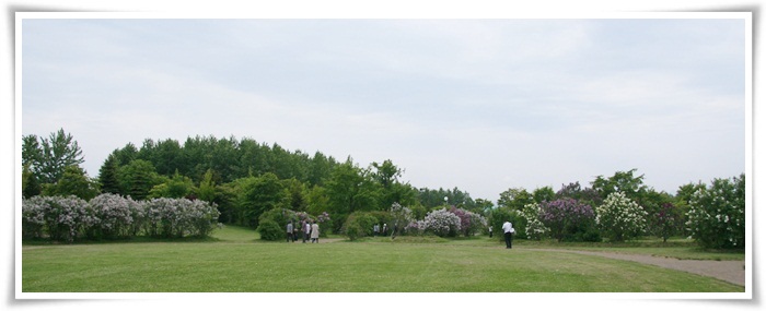 f0146493_0441320.jpg