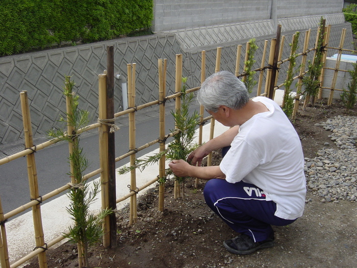 四つ目垣 Vegahouse Blog 四つ目垣 Vegahouse Blog