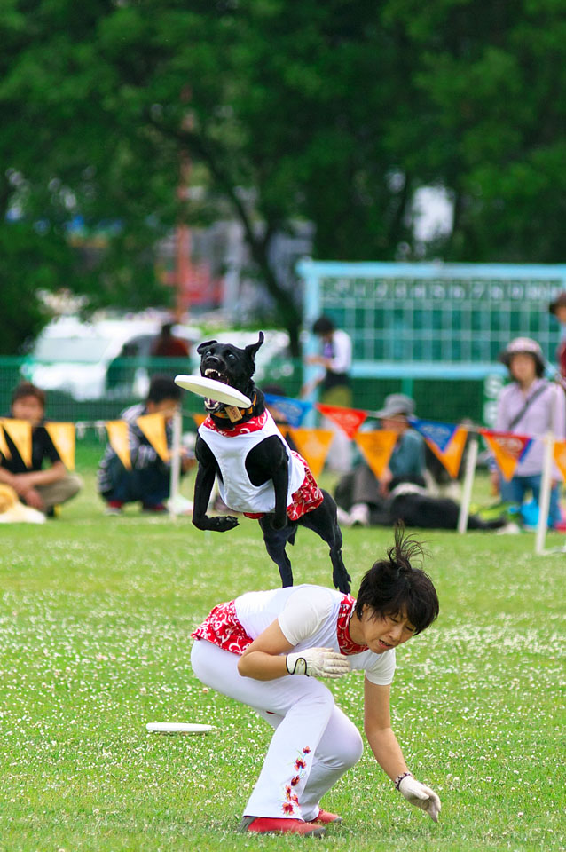 NDA　ジャパンカップ　２Ｋ１２　ｉｎ　鳥羽（フリー編）_c0193694_171368.jpg