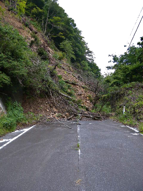 a0199297_2015875.jpg