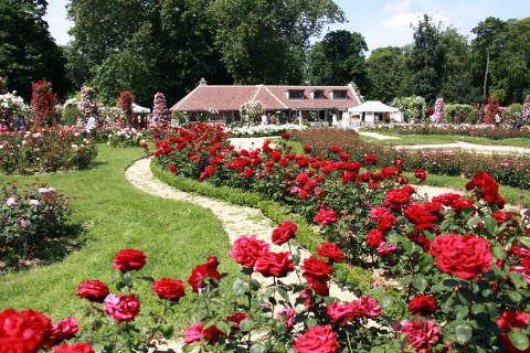 c0090198_437308.jpg